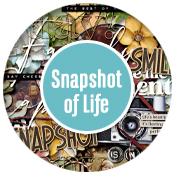 HSA-snapshot-of-life-logo.jpg