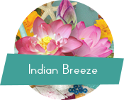 MS-IndianBreeze-Logo.png