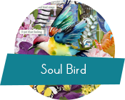 MS-SoulBird-Logo.png