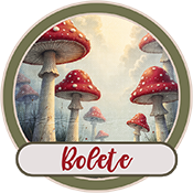 ewright-Bolete-logo.png