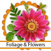 SILKE_Foliage__Flowers_collection.png