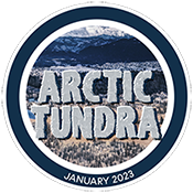 Coll-Logo-2023-ArcticTundra.png