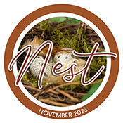 Coll-Logo-2023-Nest.png