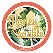 Coll-Logo-2024-Honeysuckle.png