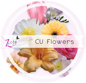 CU-Flowers.jpg