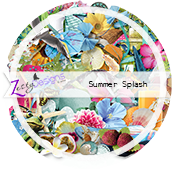 ZD-SummerSplash-logo-small.png