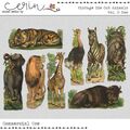 Vintage Die Cut Animals Vol. 2: Zoo (CU)  by Mixed Media by Erin