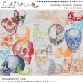 Anatomy Student Stamps Vol. 1 Skulls (CU) By Mixed Media by Erin