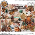 Copper Spice {Collection Bundle} by Mixed Media by Erin Kit Elements