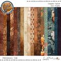 Copper Spice {Kit Papers} by Mixed Media by Erin