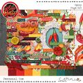 Spicy {Page Kit} by Mixed Media by Erin