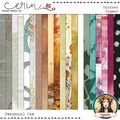 Equinox {Kit Papers}  by Mixed Media by Erin