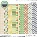 Seedlings {Collection Bundle} by Mixed Media by Erin Extra Paper