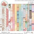 So Shabby {Page Kit}  by Mixed Media by Erin Papers