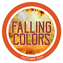 Falling Colors Collaboration