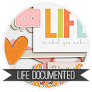 Life Documented by FranB Designs