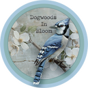 Dogwoods In Bloom by Rainbow of Greys Designs