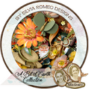 A Bit of Earth by Silvia Romeo