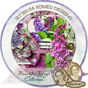 Beautiful Days by Silvia Romeo