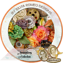 Innovations by Silvia Romeo