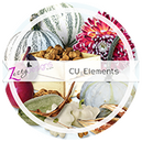 CU Elements by Zesty Designs