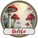 Bolete by Mixed Media by Erin