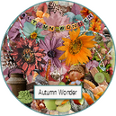 Autumn Wonder by TraceyB Creations