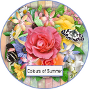 Colours of Summer by TraceyB Creations