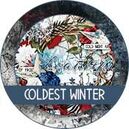 Coldest Winter by The Urban Fairy