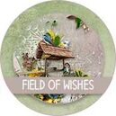 Field of Wishes by The Urban Fairy