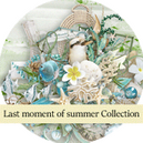 Last Moments of Summer by Xuxper Designs