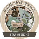 Star Of Night by Chere Kaye Designs