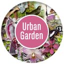 Urban Garden by Heartstrings Scrap Art
