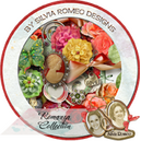 Romanza by Silvia Romeo
