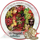 The Vineyard by Silvia Romeo Design
