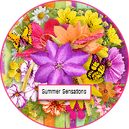 Summer Sensations by TraceyB Creations