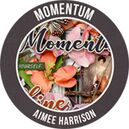 Momentum by Aimee Harrison Designs