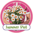 Summer Riot by Mixed Media by Erin