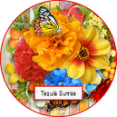 Tequila Sunrise by TraceyB Creations