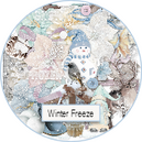 Winter Freeze by TraceyB Creations