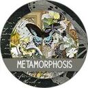 Metamorphosis by The Urban Fairy