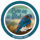 Free As a Bird Collaboration