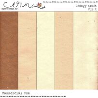 Grungy Kraft Vol. 2 (CU) by Mixed Media by Erin