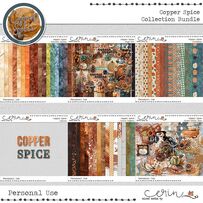 Copper Spice {Collection Bundle} by Mixed Media by Erin