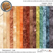 Copper Spice {Painted Solids} by Mixed Media by Erin