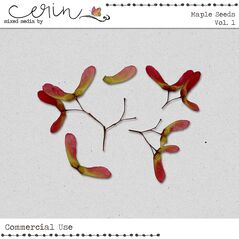 Maple Seeds Vol. 1 (CU) by Mixed Media by Erin