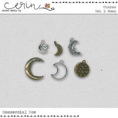 Charms Vol.1 Moon (CU) By Mixed Media by Erin