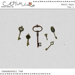 Metal Keys Vol. 1 (CU) By Mixed Media by Erin