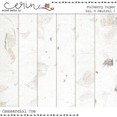 Mulberry Paper Vol. 5 (CU) By Mixed Media by Erin