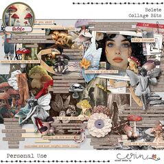 Bolete {Collection Bundle} by Mixed Media by Erin Collage Bits